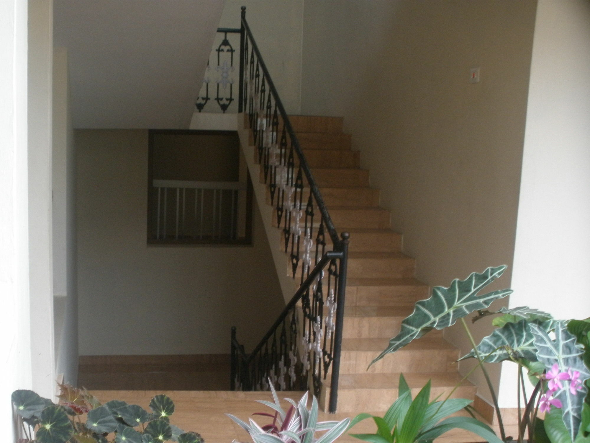 Jungle Palace Homestay Thekkady Exterior foto
